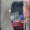 Dây curoa XPA1207