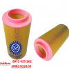 Lọc gió A11323374
