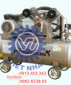 Máy nén khí pegasus TM-V -0.17/8-70L