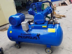 Máy nén khí pegasus TM-V -0.17/8-70L